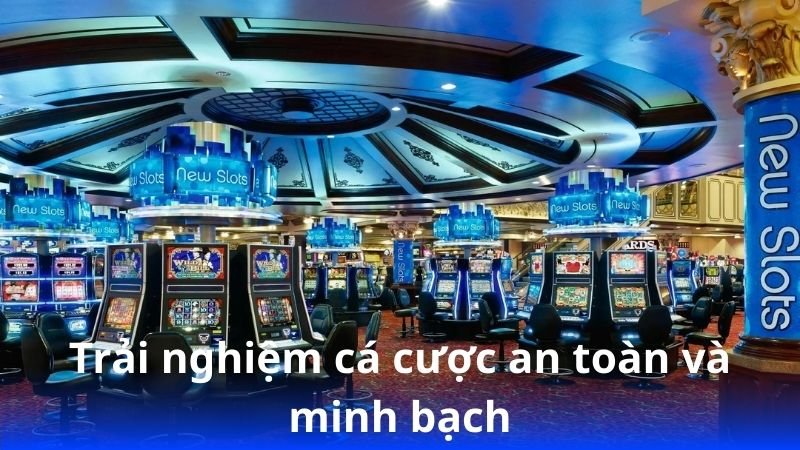 Mibet – Khi bản lĩnh và may mắn cùng song hành 2 trai-nghiem-ca-cuoc-an-toan-va-minh-bach