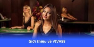 gioi-thieu-ve-viva88