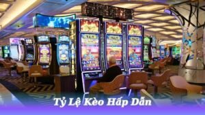 ty-le-keo-hap-dan